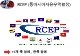 TPP와 RCEP 정의,환태평양경제동반자협정,동아시아자유무역협정,TPP vs RCEP   (4 )